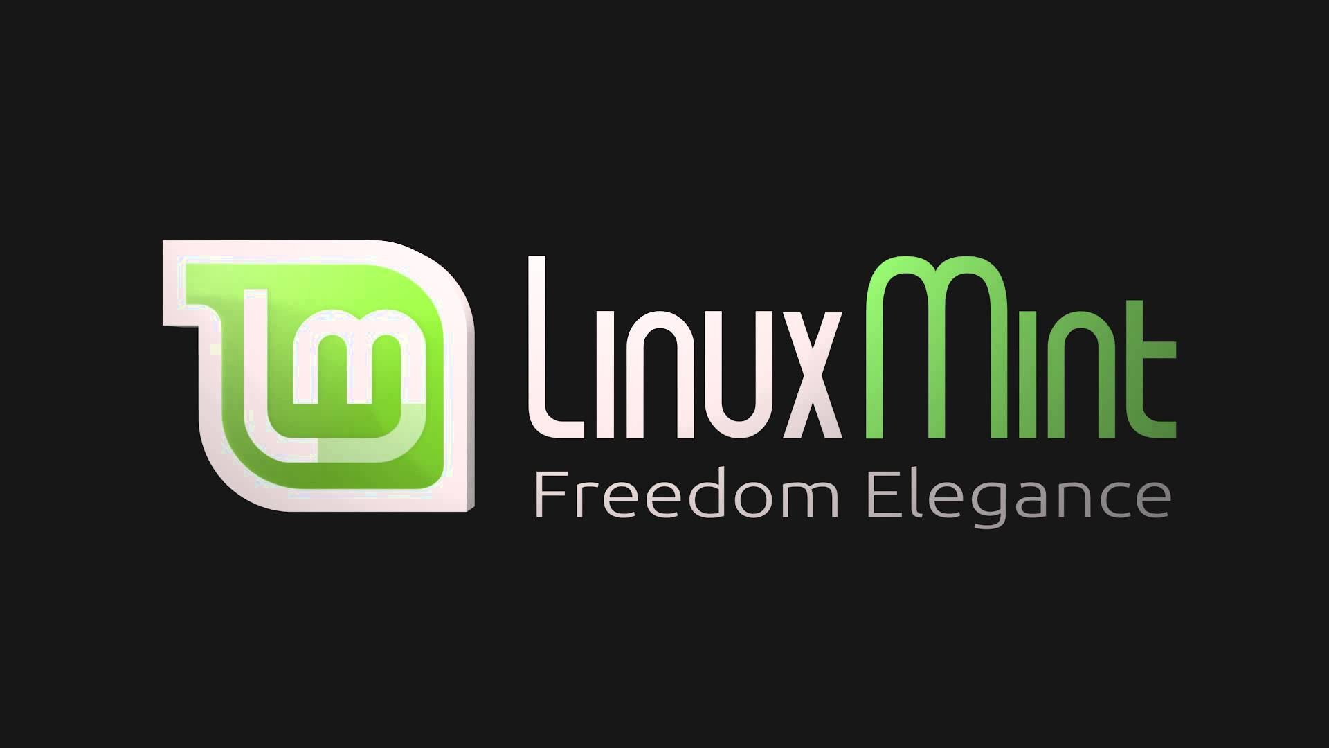 Linux Mint 22 and AI